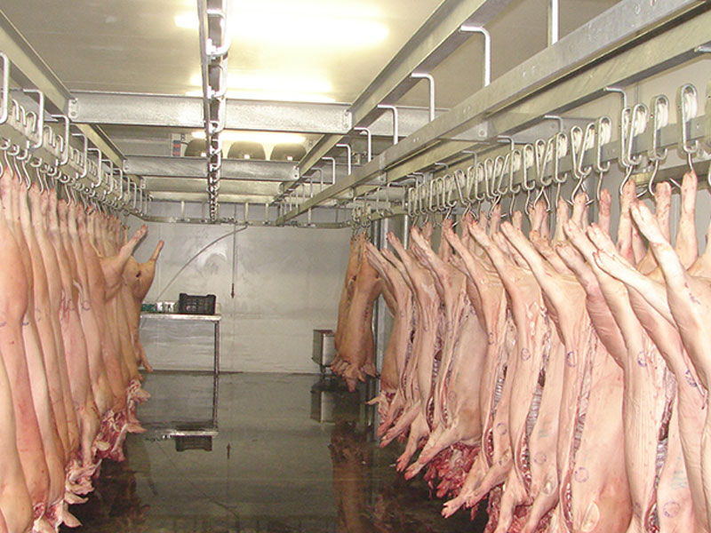 Cold Room for Meat Storage Solutions